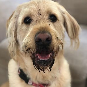 Meet your Posher, Maria